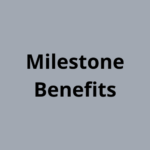 Credit cards with Milestone Benefits category list